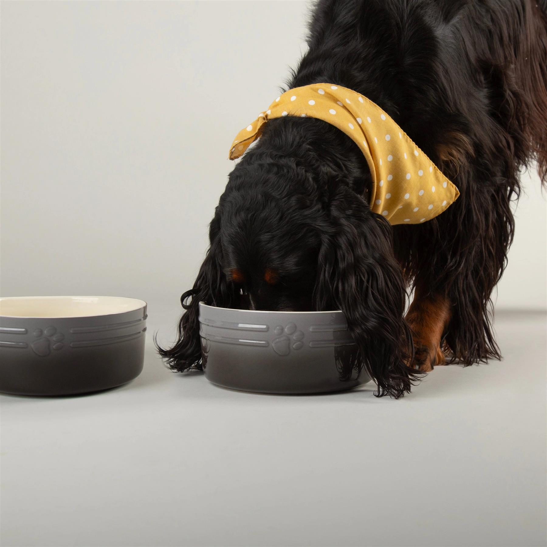 Hund Katze Futternapf Haustier alle Rassen Größen Wasser Untertasse Keramik Elegant Ombre Grau - Bild 11 von 15