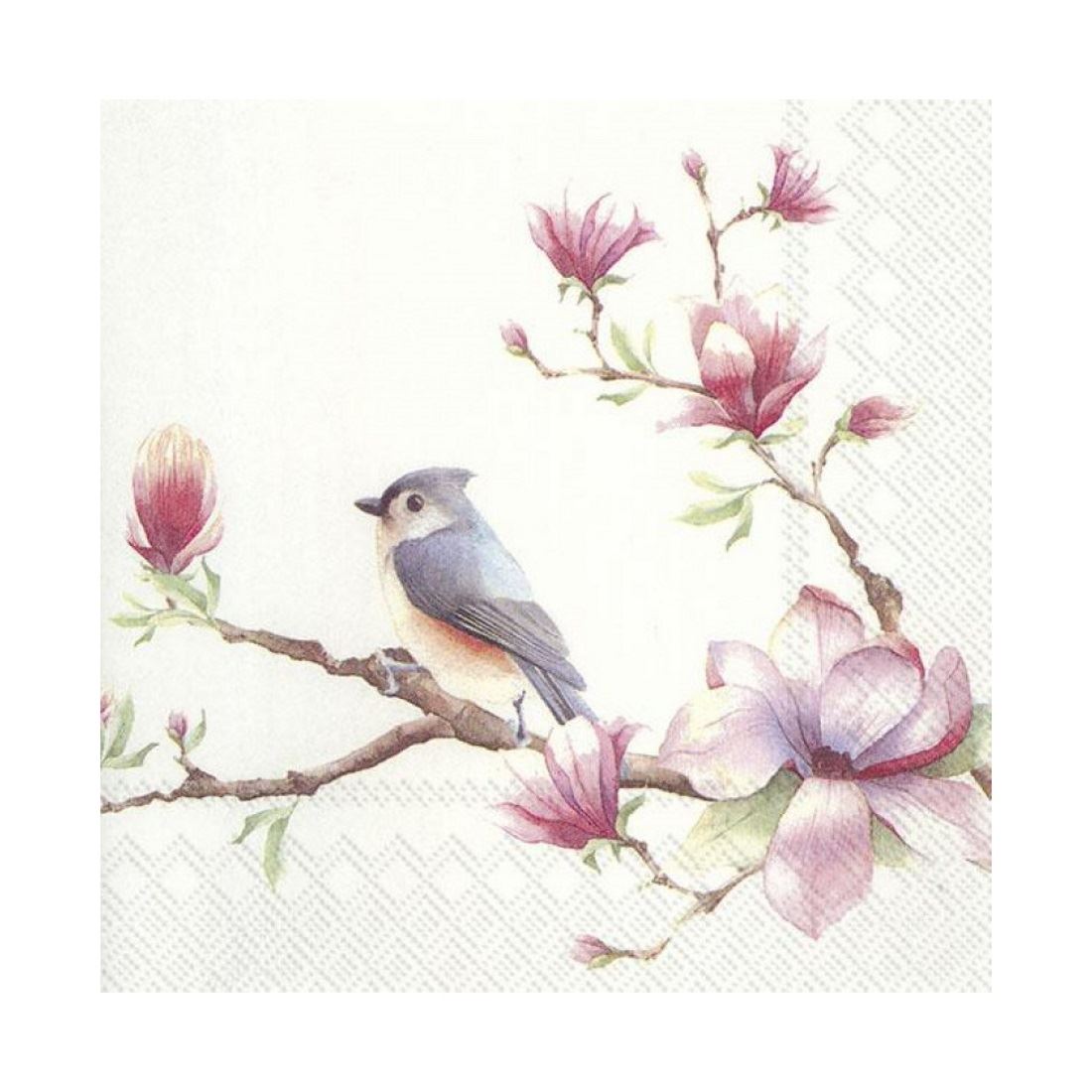 Spring Melody Bird & Blossom Paper Napkins Lunch Cocktail Party Serviettes