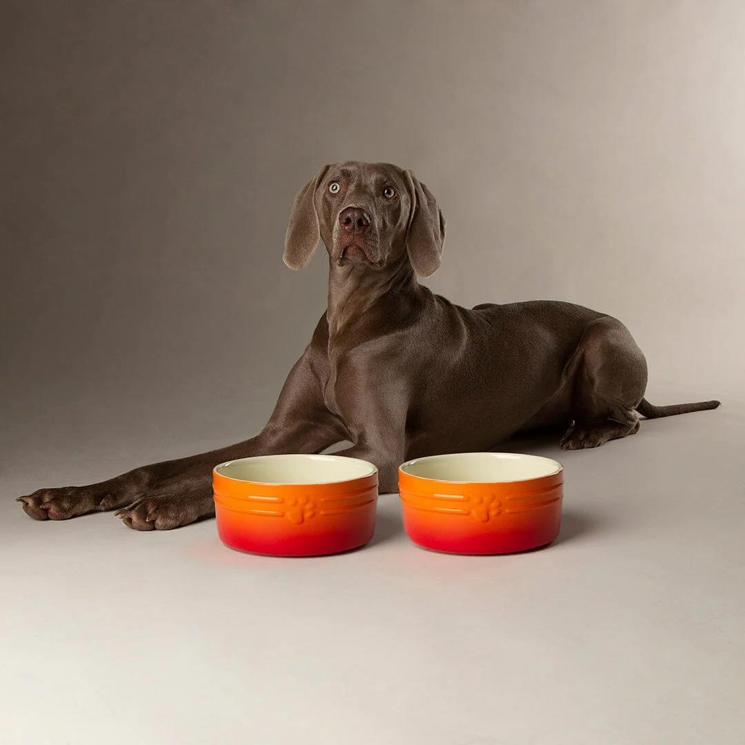 Hund Katze Futternapf Haustier alle Rassen Größen Wasser Untertasse Keramik elegant ombre orange - Bild 11 von 14