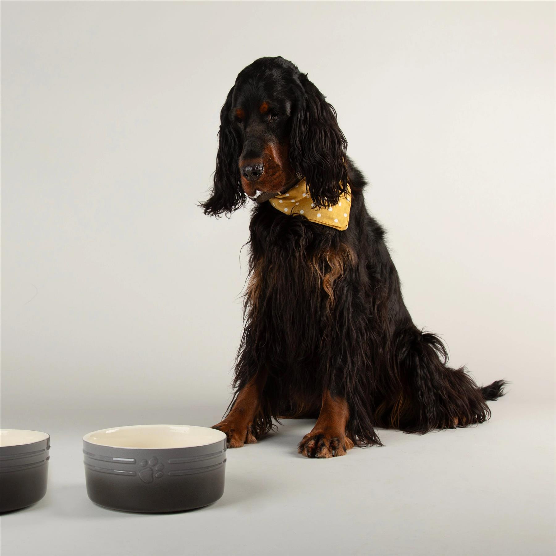 Hund Katze Futternapf Haustier alle Rassen Größen Wasser Untertasse Keramik Elegant Ombre Grau - Bild 12 von 15