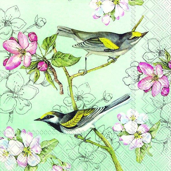 Birds Symphony Green Paper Napkins Aqua Birds Lunch Cocktail Party Serviettes