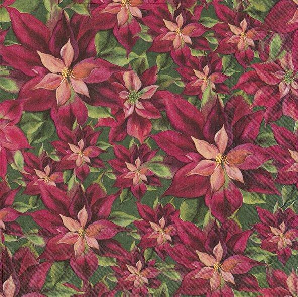 Christmas Paper Napkins Poinsettia Vintage Lunch 20pk Festive 3-ply Serviettes