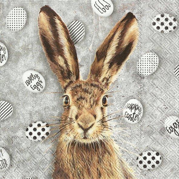 Easter Eggs Oh My Rabbit Printed Picnik Paper Cocktail Napkins Party Serviettes