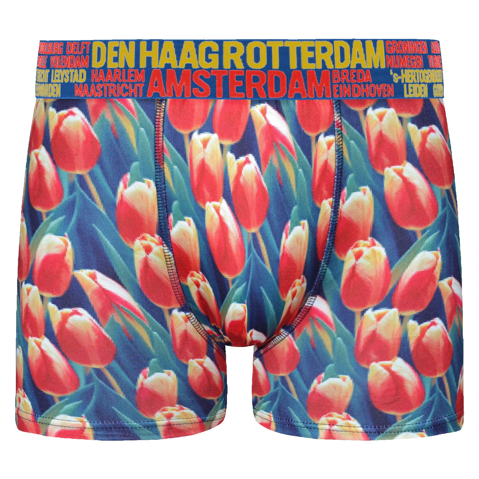 Mens Amsterdam Trunks Boxer Shorts/Boxers 1 Pair Underwear Size M-XXL - 第 18/19 張圖片