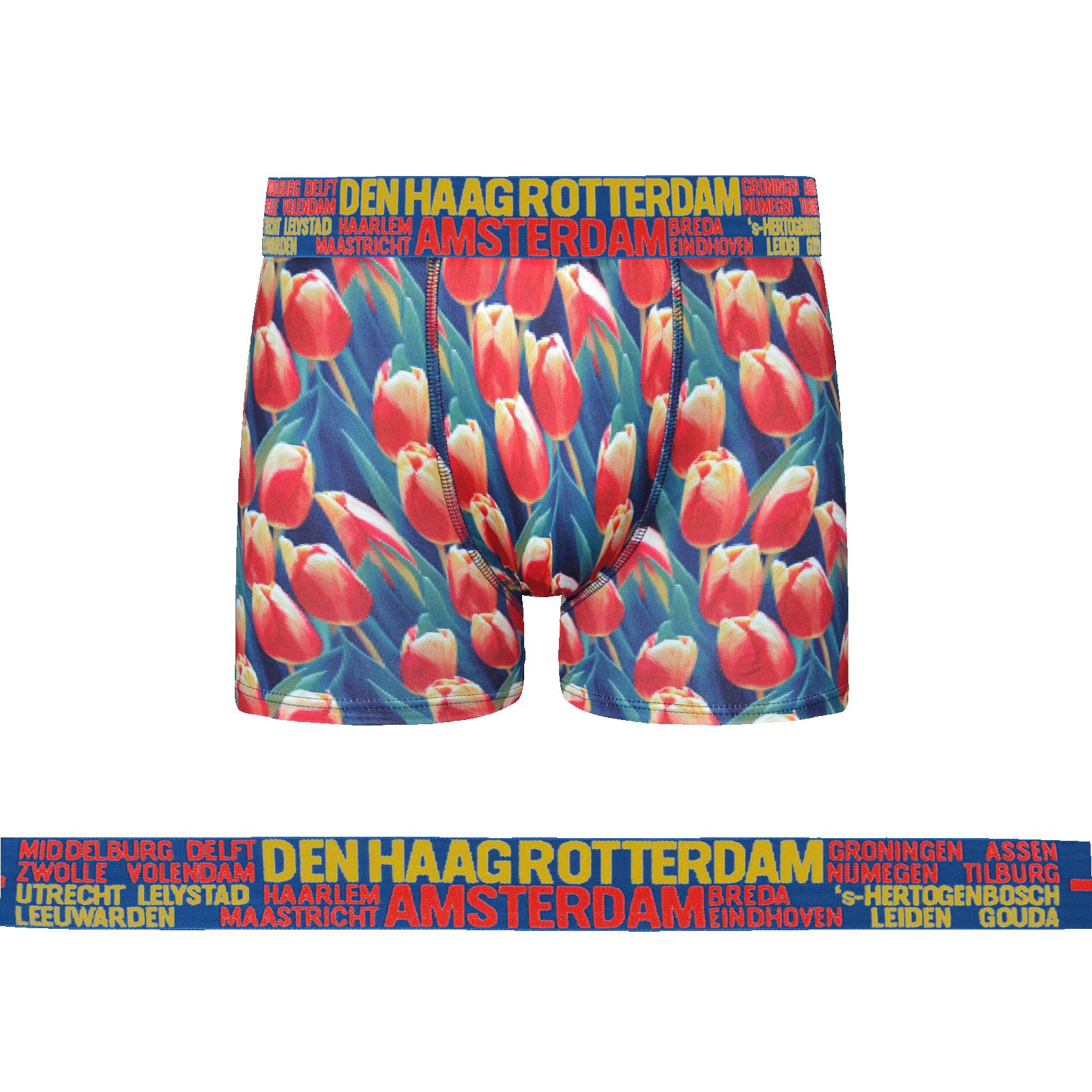 Mens Amsterdam Trunks Boxer Shorts/Boxers 1 Pair Underwear Size M-XXL - 第 19/19 張圖片