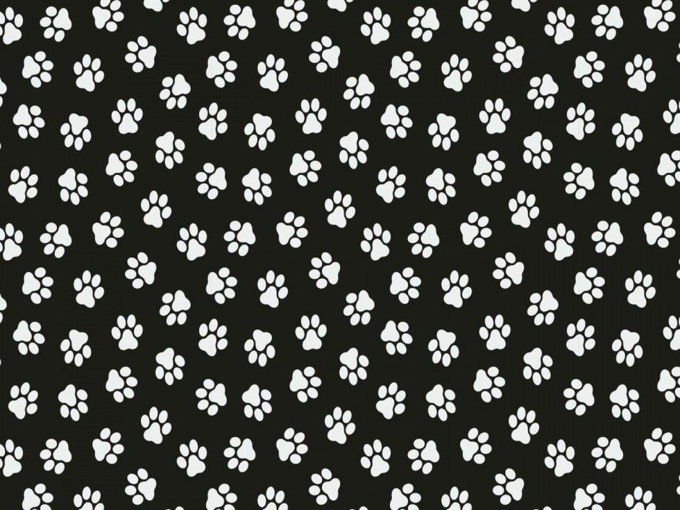 100% Cotton Poplin Fabric Black