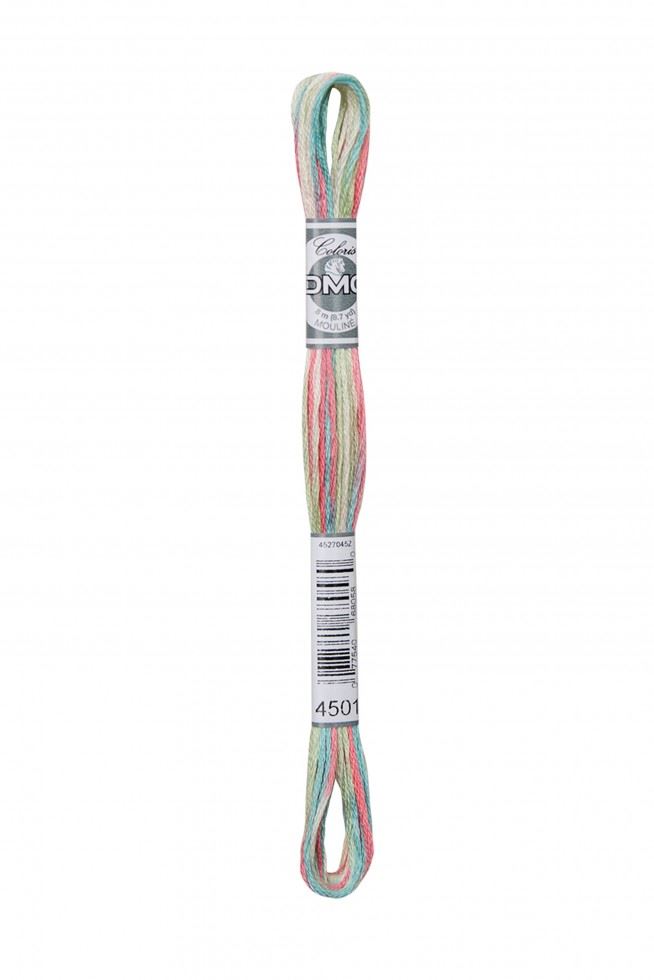 Dmc 4501 Fleurs Des Champs Coloris Embroidery Thread