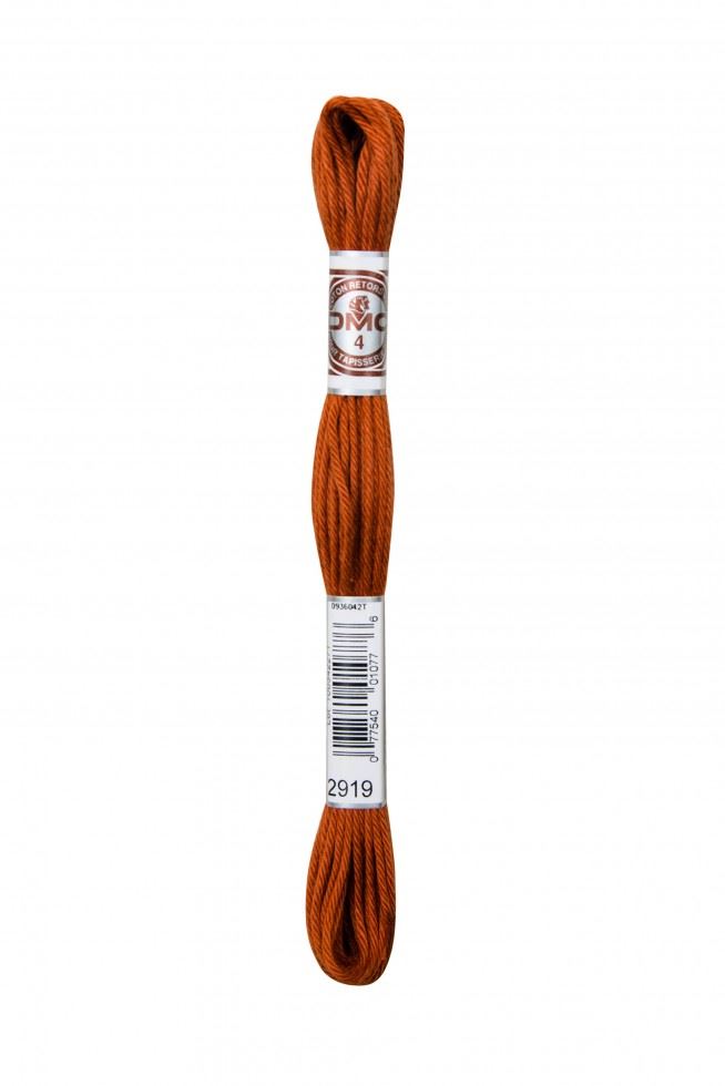 DMC Soft Cotton Embroidery Thread 2919
 