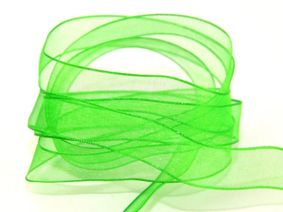 Berisfords Wired Sheer Organza Ribbon 664 Meadow
 