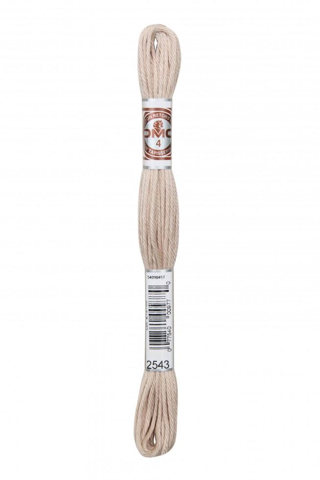 Dmc 2543 Soft Cotton Embroidery Thread
