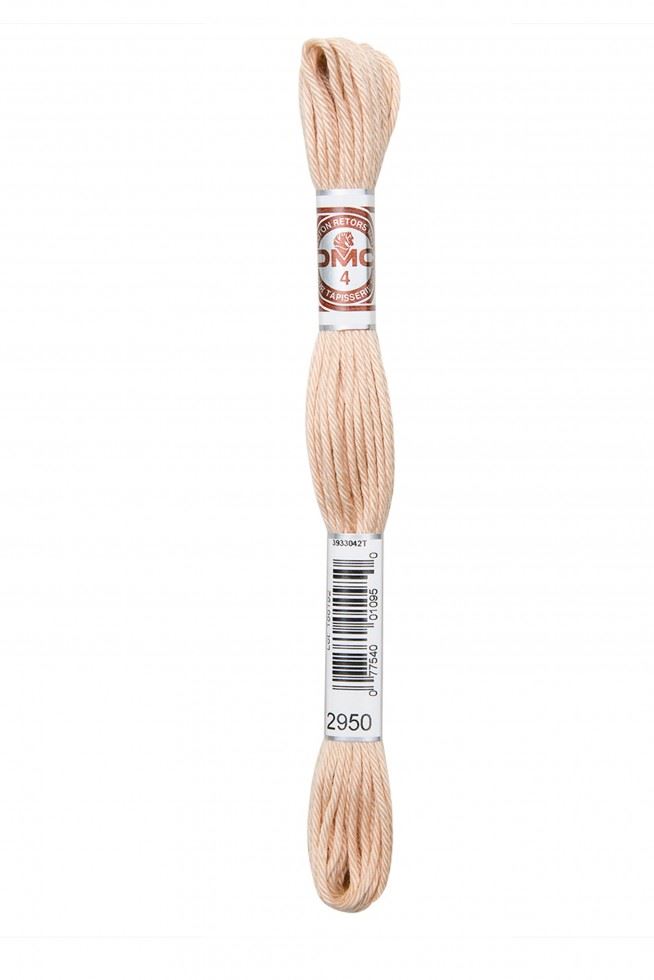 Dmc 2950 Soft Cotton Embroidery Thread