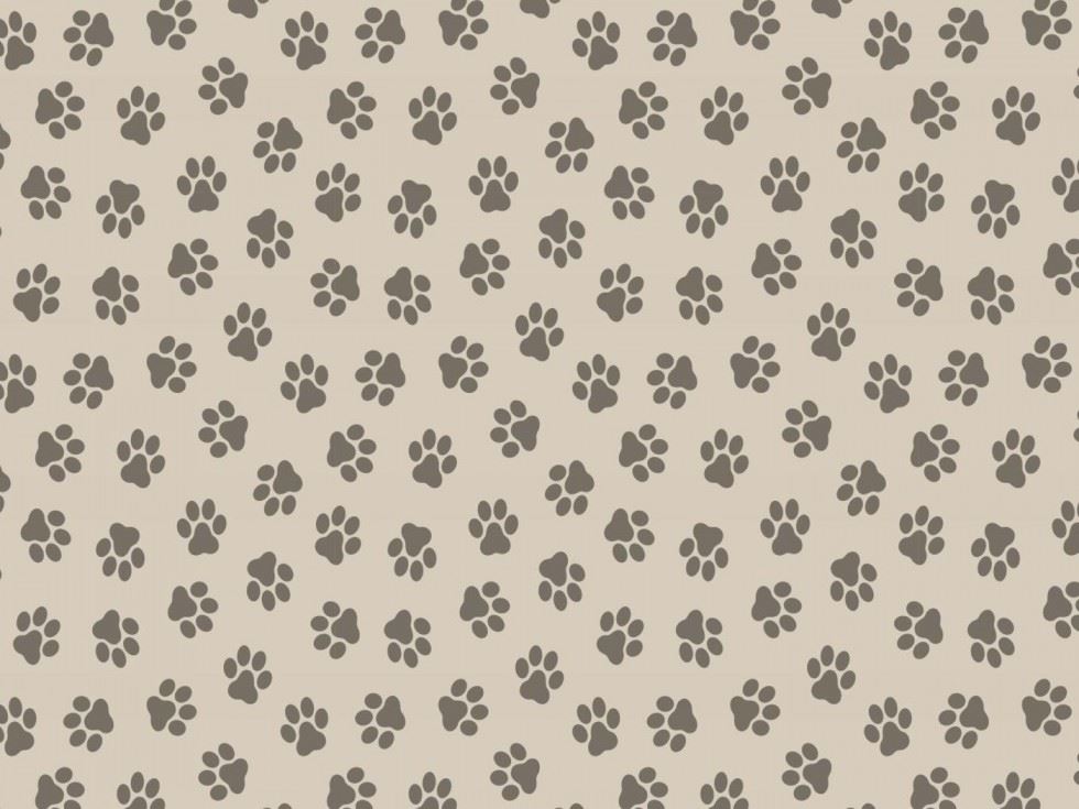 Taupe 100% Cotton Poplin Fabric
