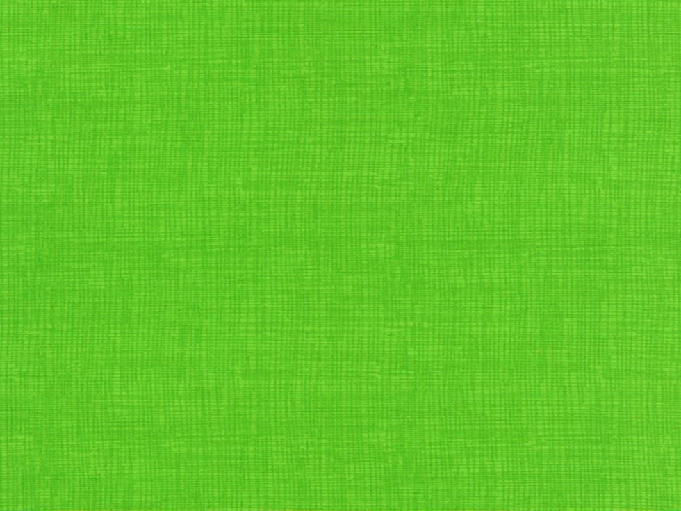Timeless Treasures 100% Cotton Poplin Fabric Spring
 