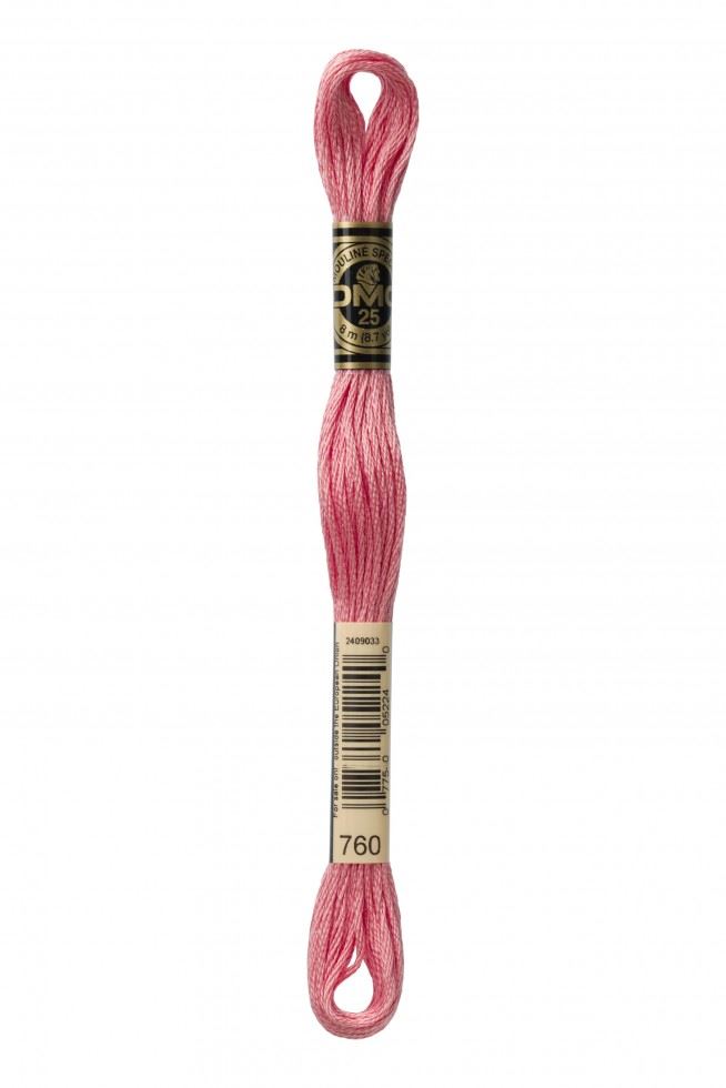 DMC Stranded Cotton Embroidery Thread 760
 