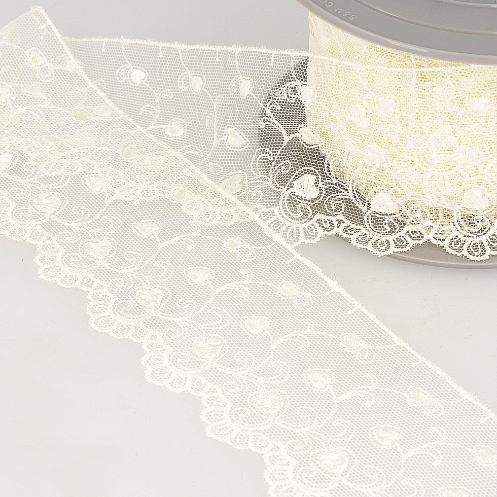 Stephanoise Ivory Embroidery Tulle Lace Trim