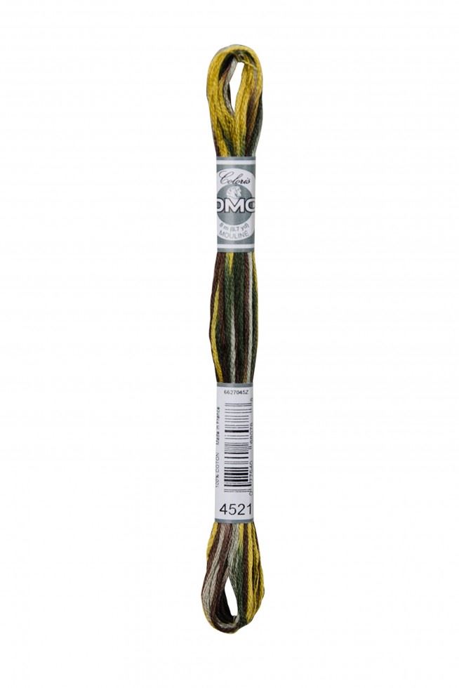 DMC Coloris Embroidery Thread 4521 Grands Espaces
 