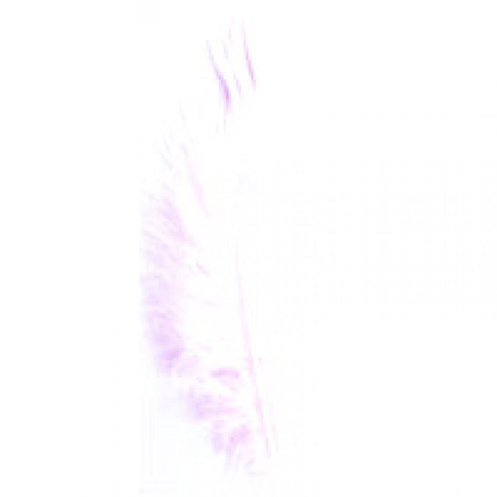 Trimits Pink Turkey Craft Feathers (Value Pack Of 5)