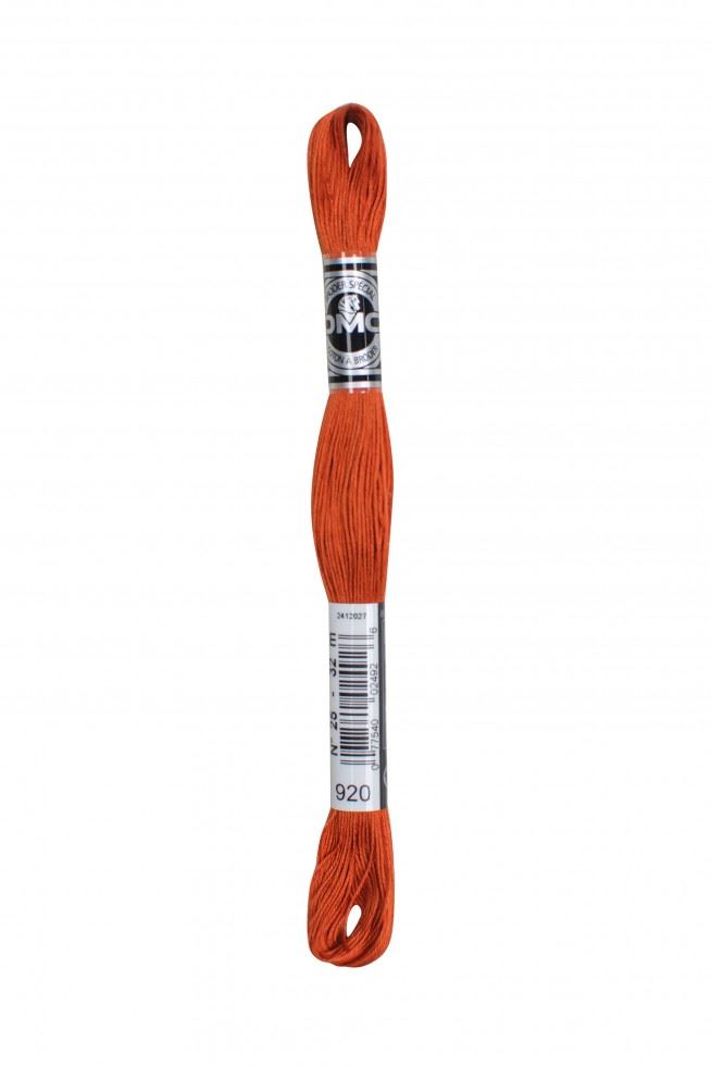 DMC Size 25 Coton A Broder Special Embroidery Thread 920
 
