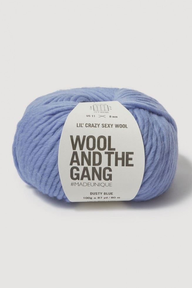 Wool and the Gang Lil Crazy Sexy Wool Chunky Yarn Dusty Blue