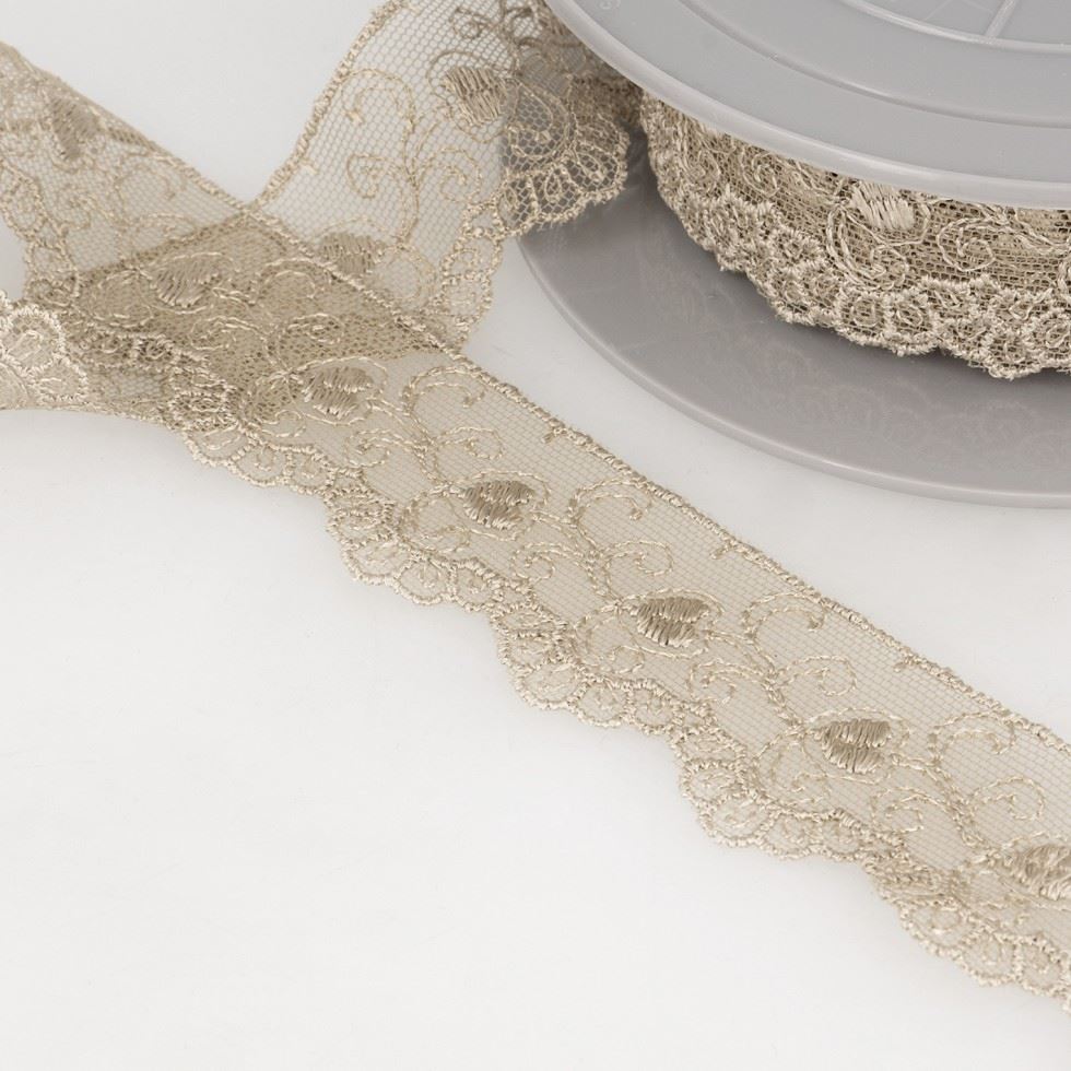 Stephanoise Beige Embroidery Tulle Lace Trim
