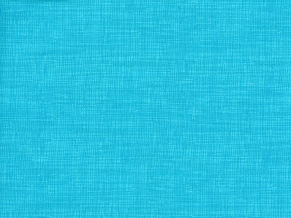 Timeless Treasures 100% Cotton Poplin Fabric Pool
 
