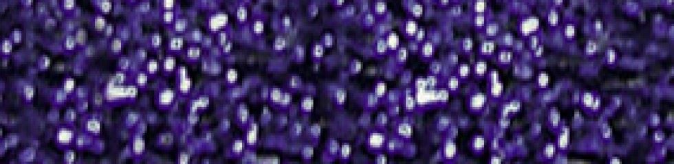 Madeira Nora Metallic Thread (Value Pack) Col 338
 