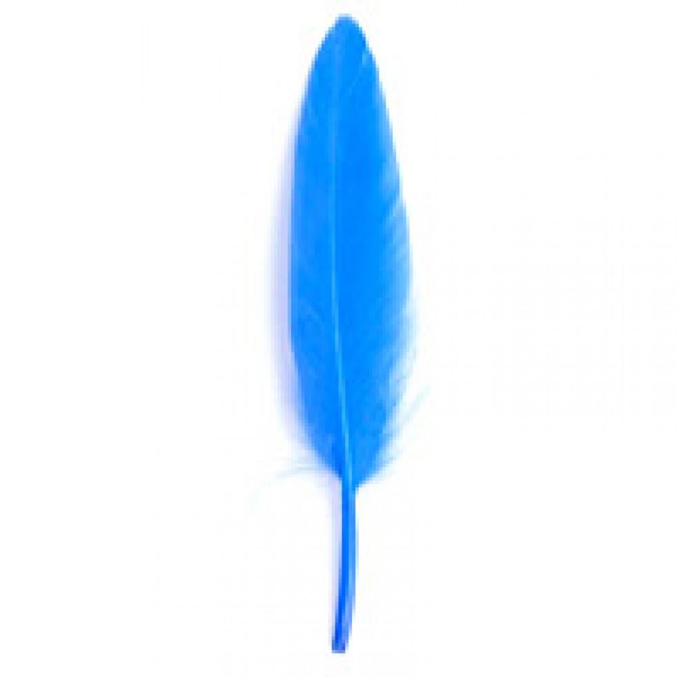 Trimits Royal Blue Duck Craft Feathers (Value Pack Of 5)