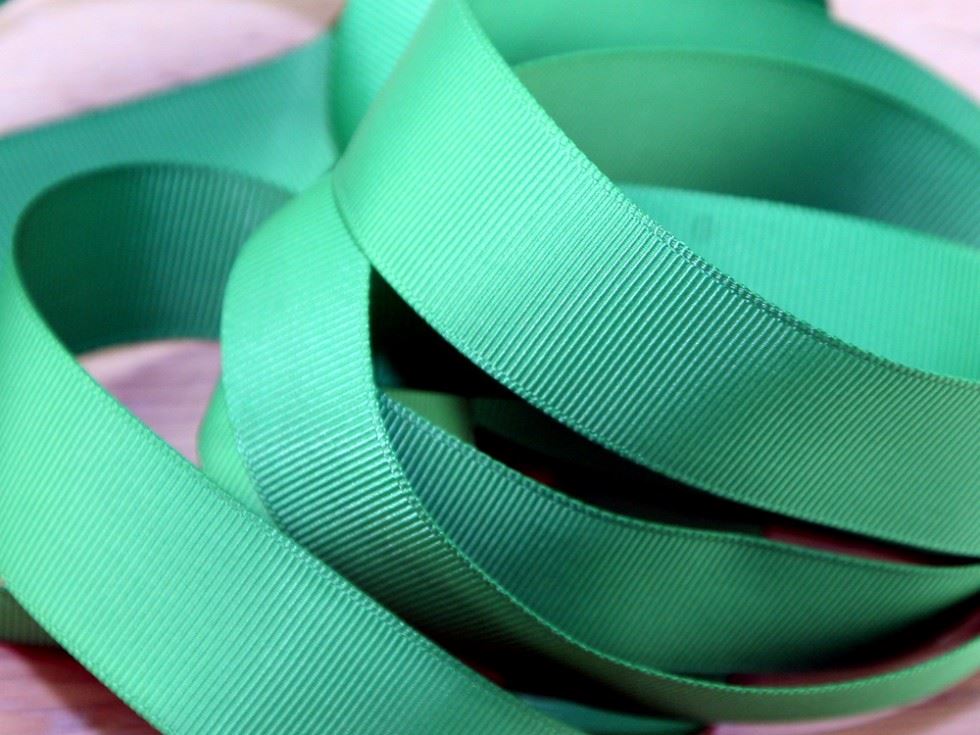 Prym Light Green Ribbed Polyester Tape