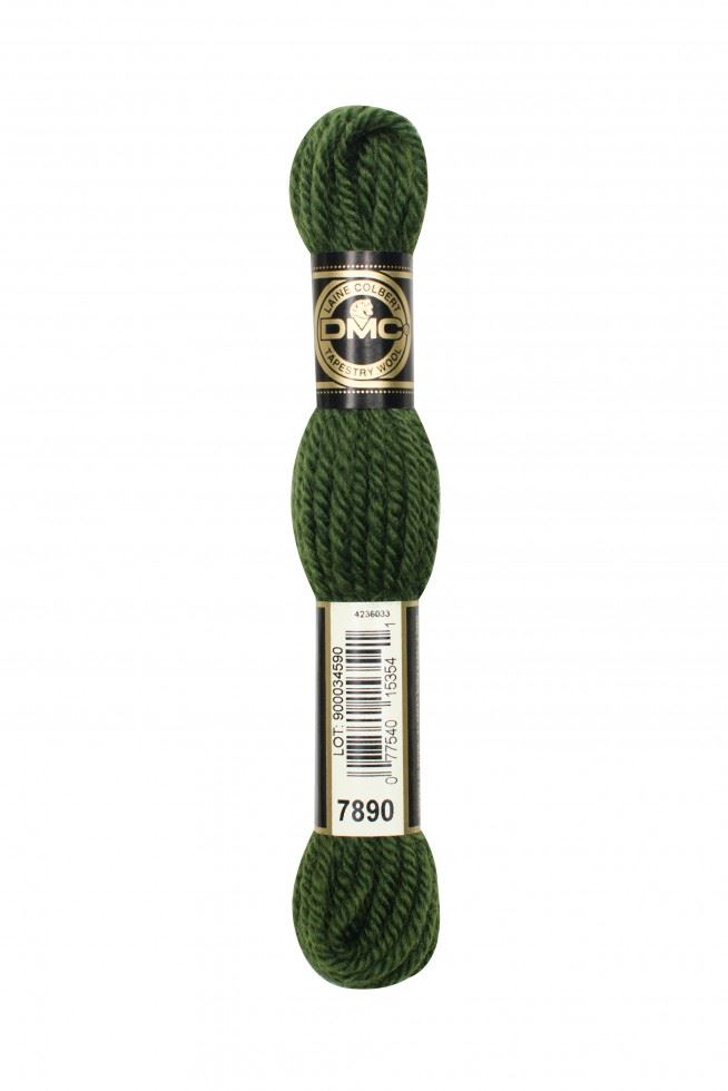 DMC Tapestry Wool 7890
 