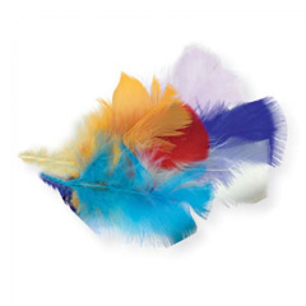 Trimits Assorted Craft Feathers (Value Pack Of 5)