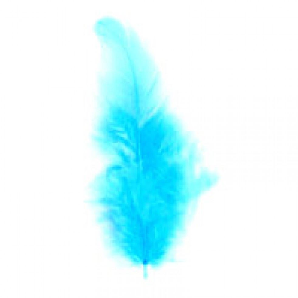 Trimits Turquoise Hen Craft Feathers (Value Pack Of 5)