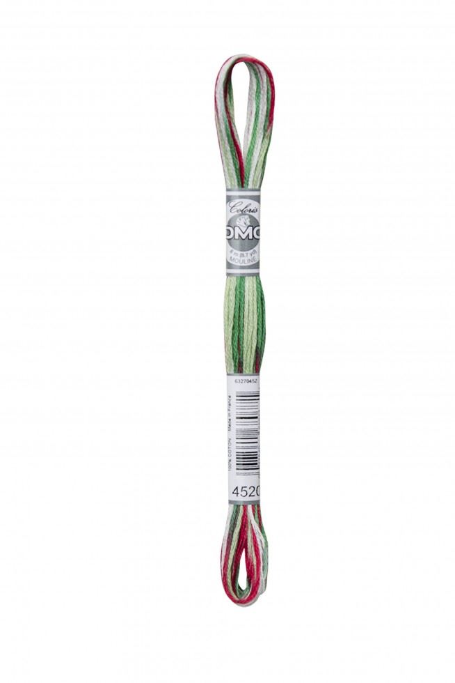 DMC Coloris Embroidery Thread 4520 Conte De Noel
 