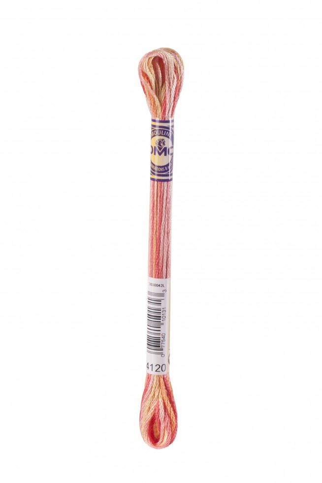 DMC Color Variations Embroidery Thread 4120
 