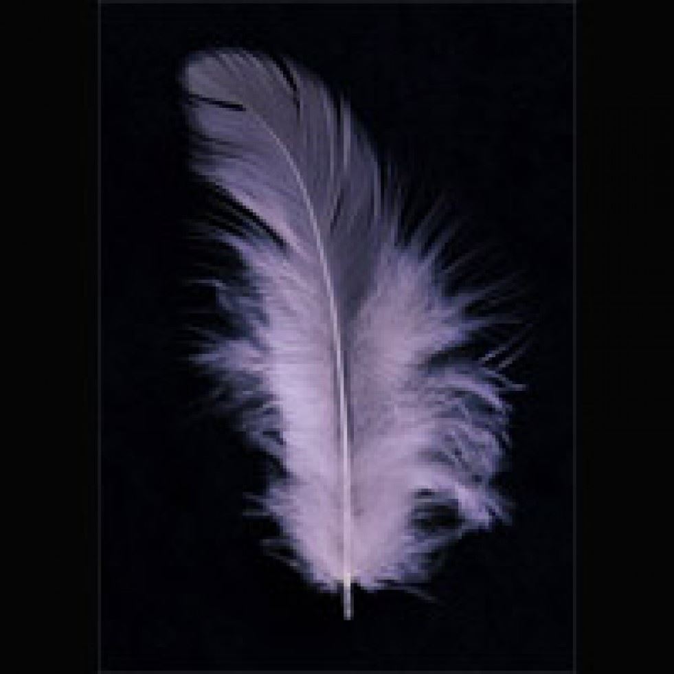 Trimits Pink Hen Craft Feathers (Value Pack Of 5)