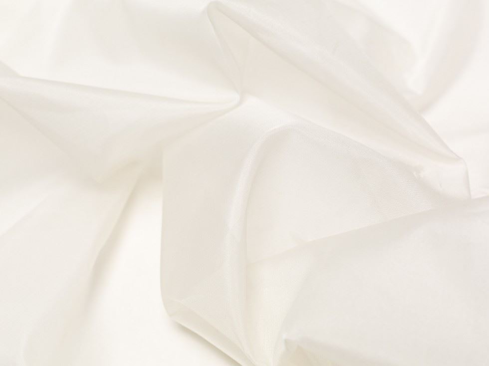 Society Silk Organza Fabric Ivory
 