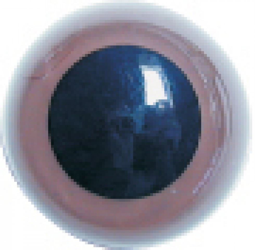 Craft Factory Toy Safety Eyes Brown
 