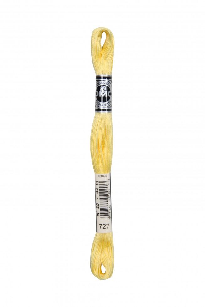 DMC Size 25 Coton A Broder Special Embroidery Thread 727
 