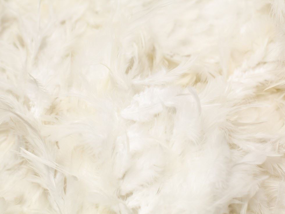 Minerva Core Range Plume Feather Fabric Ivory
 