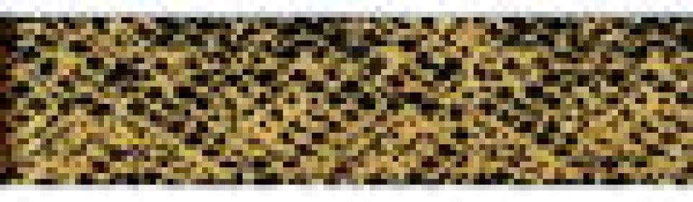 Berwick Offray Wild Animal Ribbon Animal Print 5
 