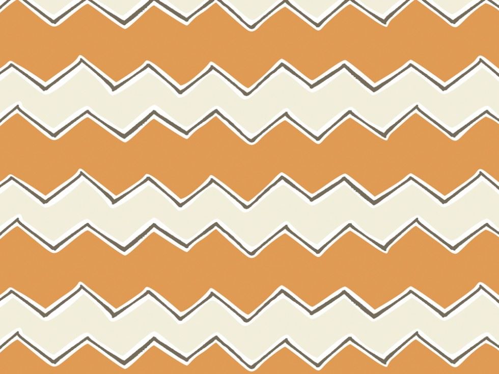 Camelot Fabrics Orange 100% Cotton Poplin Fabric