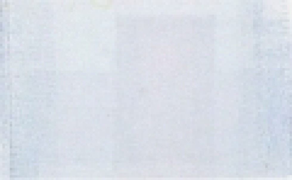 Berwick Offray White Arabesque Ribbon