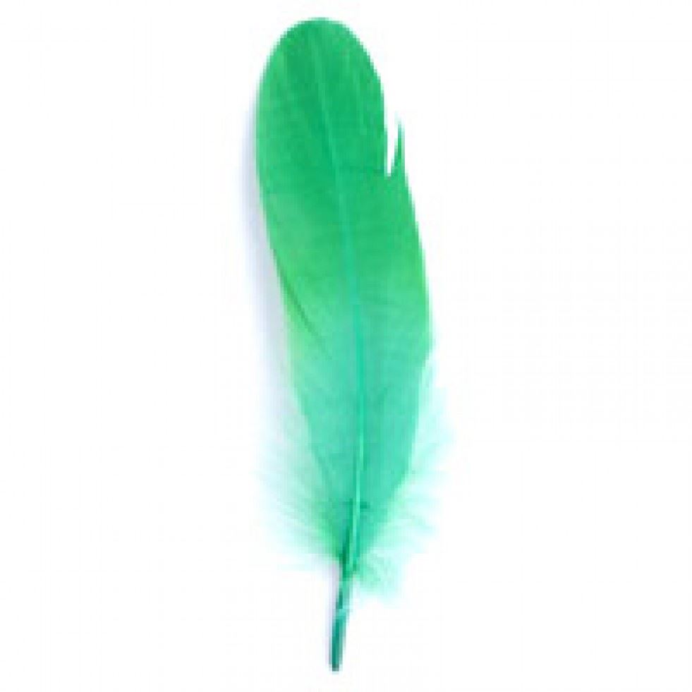 Trimits Green Goose Craft Feathers (Value Pack Of 5)