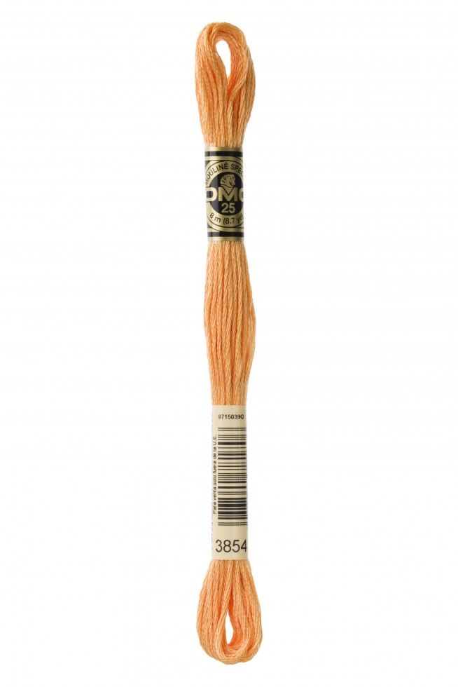 DMC Stranded Cotton Embroidery Thread 3854
 