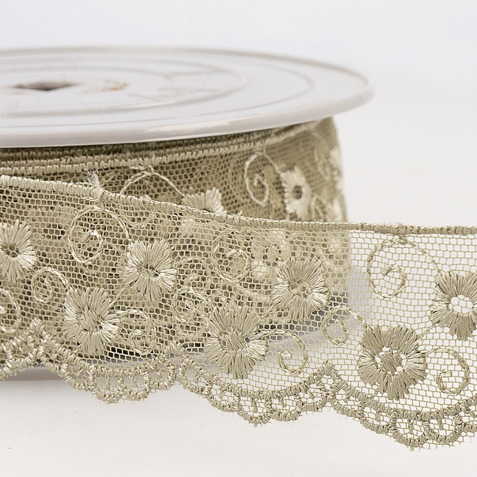 Stephanoise Embroidery Tulle Lace Trim Taupe
