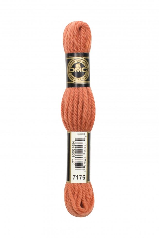 DMC Tapestry Wool 7176
 