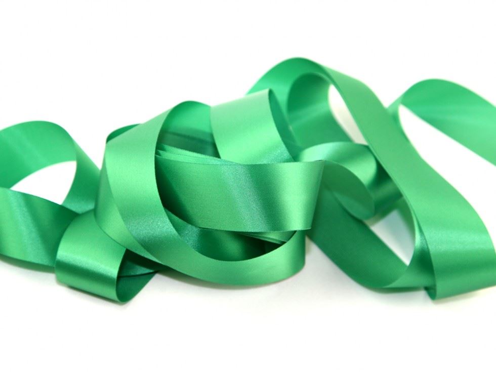 Romandus Emerald Fused Edge Craft Ribbon (Value Roll)