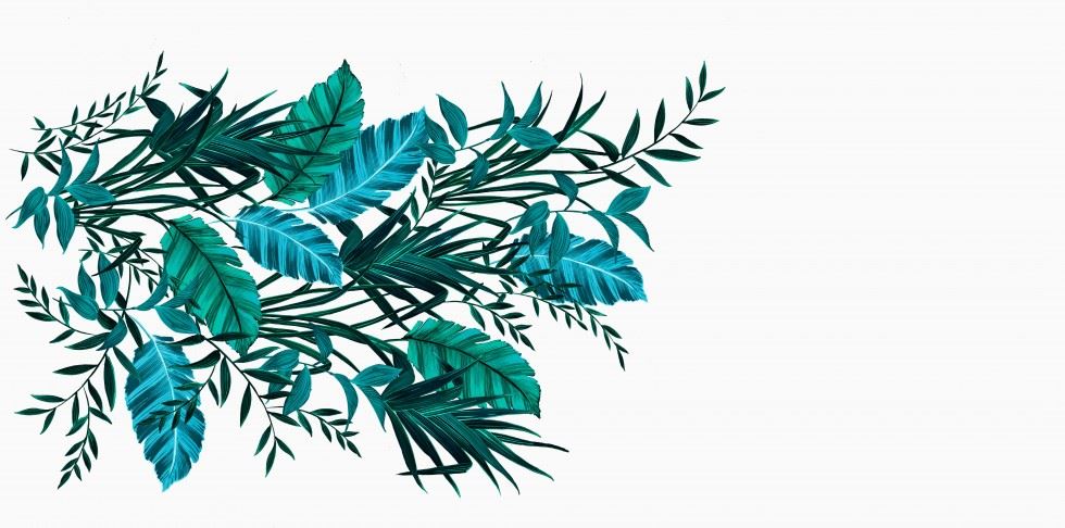 John Kaldor Santa Cruz Stretch Woven Satin Fabric Turquoise on White
 