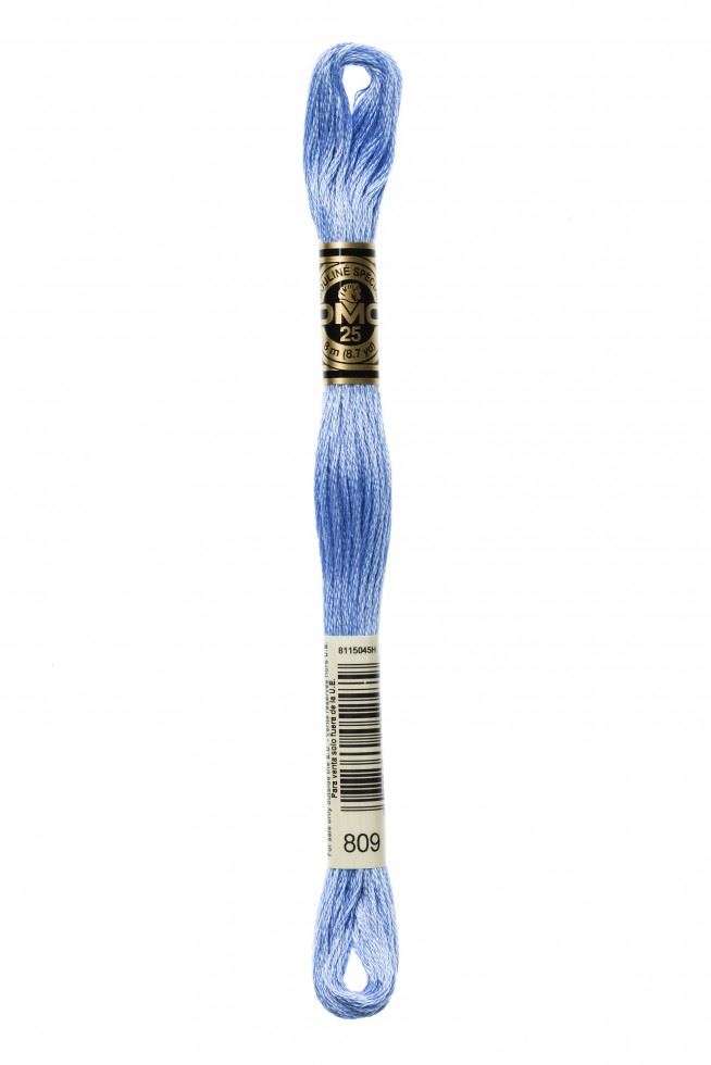DMC Stranded Cotton Embroidery Thread 809
 