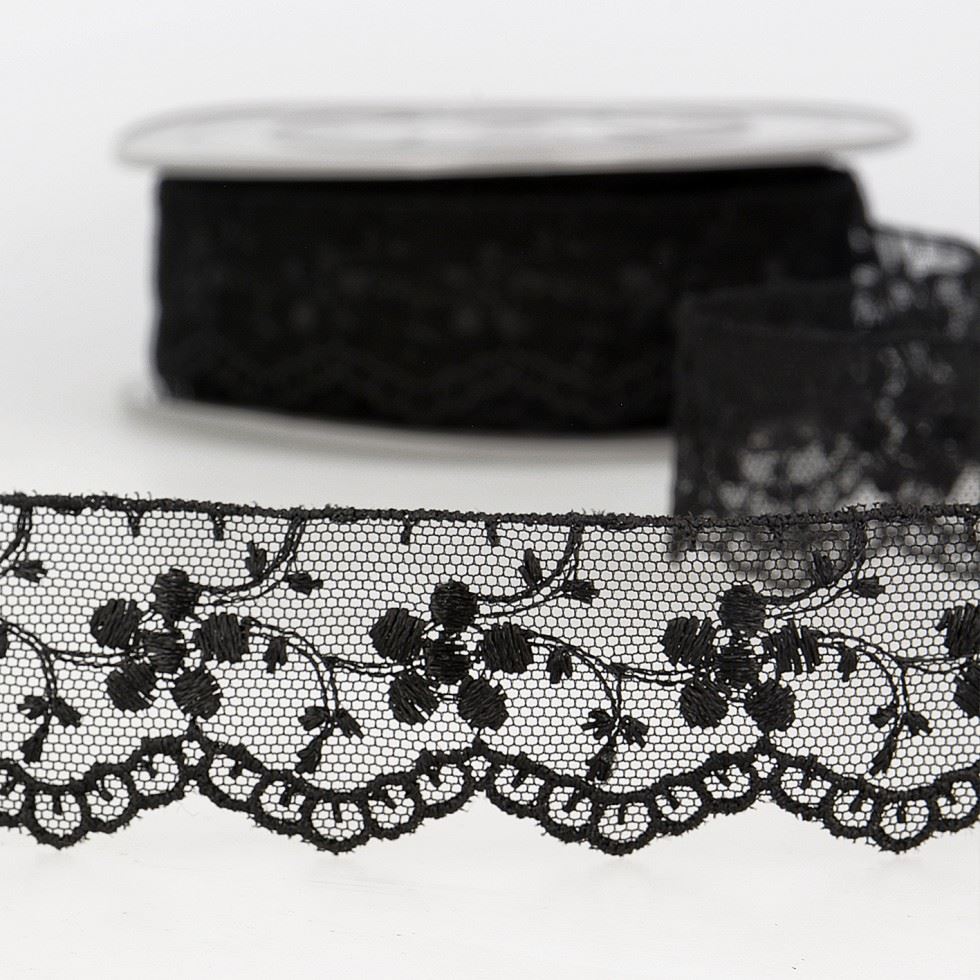 Stephanoise Black Embroidery Tulle Lace Trim