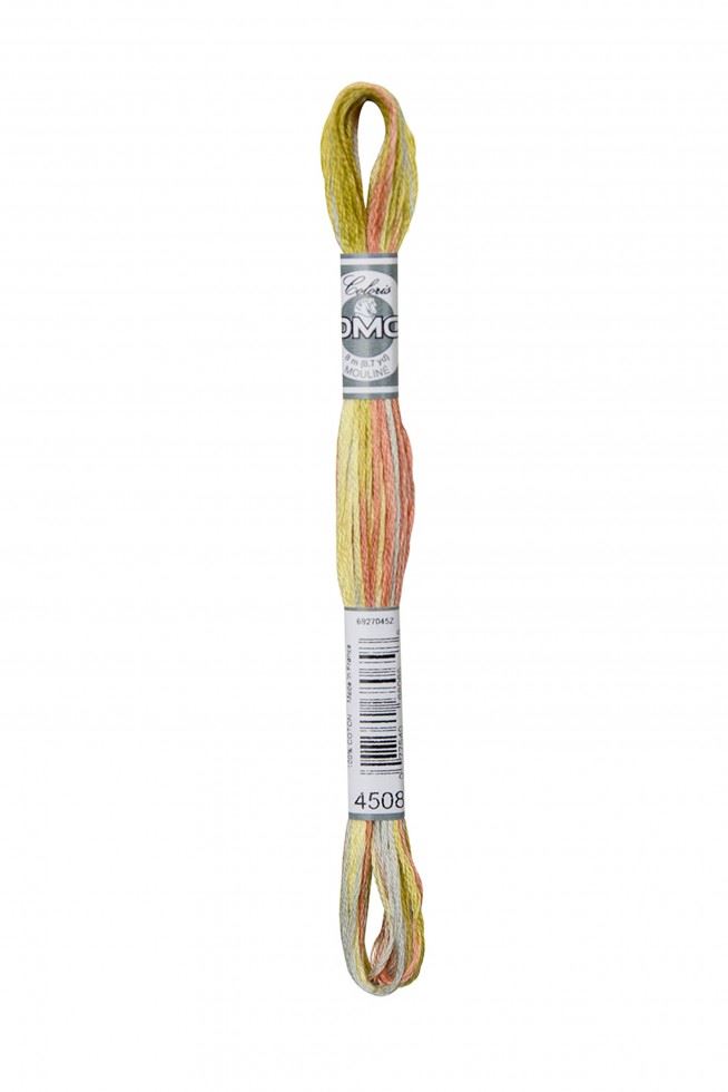 DMC Coloris Embroidery Thread 4508 Campagne Givree
 